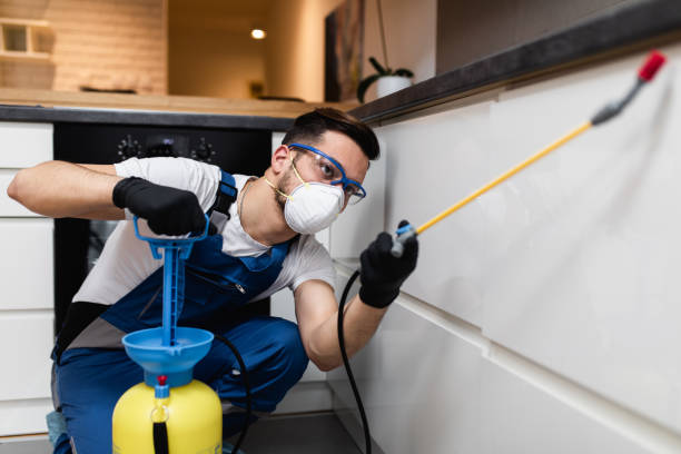 Best Cockroach Control Services  in Mill City, OR