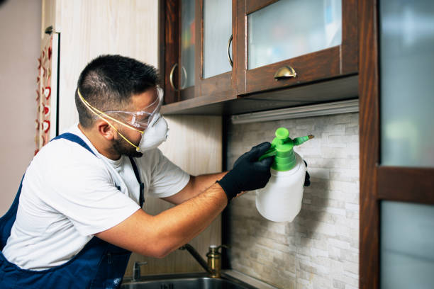 Best Residential Pest Control  in Mill City, OR