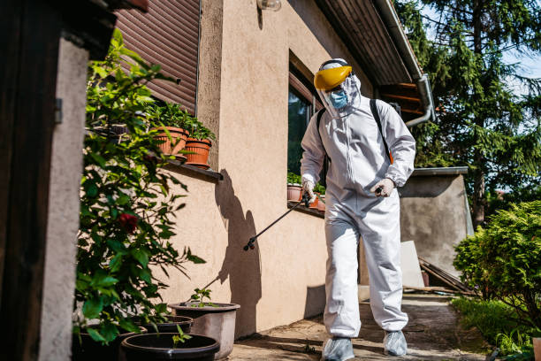 Best Flea Control Services  in Mill City, OR