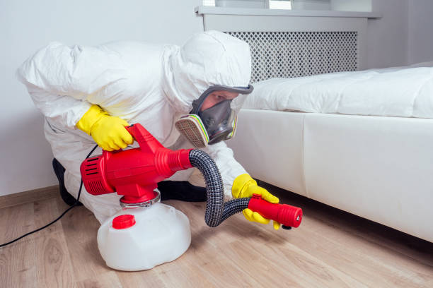  Mill City, OR Pest Control Pros