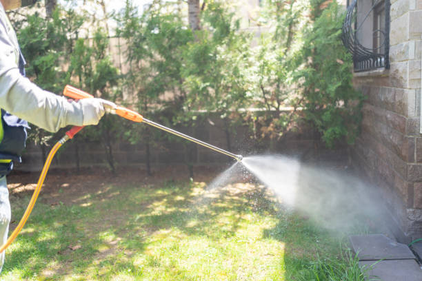 Best Best Pest Control Companies  in Mill City, OR