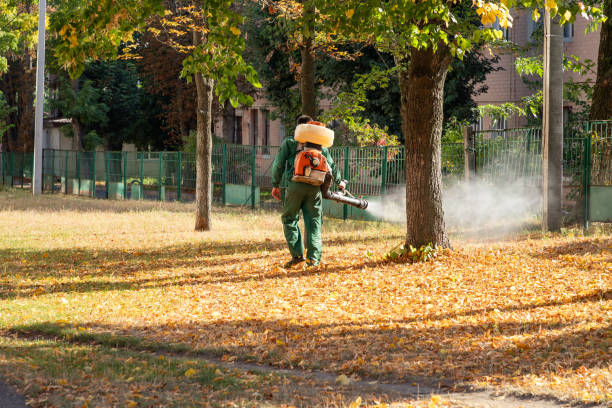 Best Pest Control Cost  in Mill City, OR