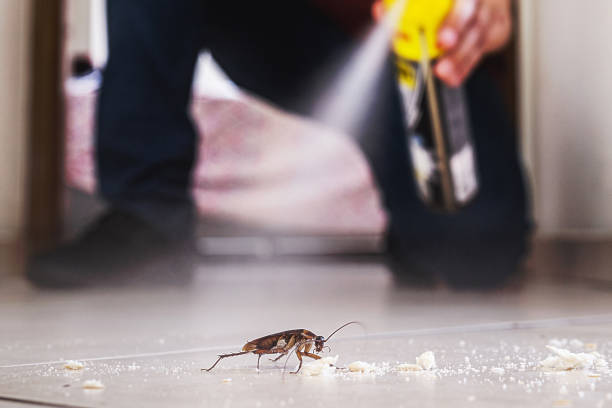 Best Best Pest Control Companies  in Mill City, OR