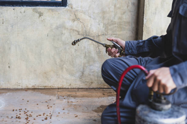 Best Affordable Pest Control Services  in Mill City, OR
