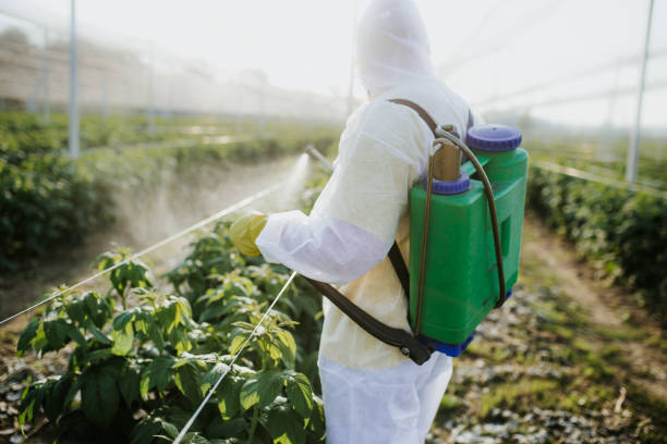 Best Commercial Pest Control Services  in Mill City, OR